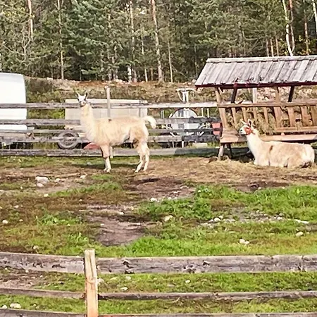 Tolles Haus Mit 2 Schlafzimmern In Grue Svullrya