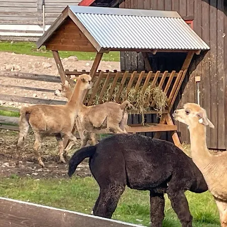 2 Bedroom Awesome In Grue Finnskog