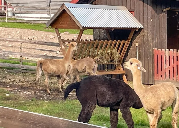 2 Bedroom Awesome In Grue Finnskog