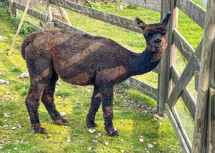 2 Bedroom Awesome In Grue Finnskog