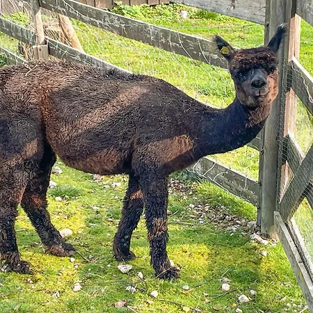 2 Bedroom Awesome In Grue Finnskog